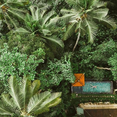 The Nest In Ubud, Bembengan Cottage Exteriér fotografie